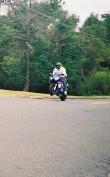 me little wheelie